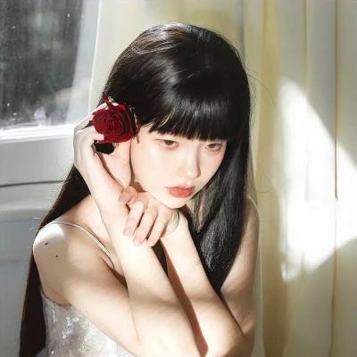 来自未来的访客
